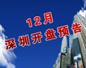 12月深圳开盘专题