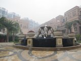 知识城板块楼盘，为该板块内少有的纯别墅楼盘。