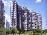 知识城板块大型社区，地铁6号线及轻轨临近项目。