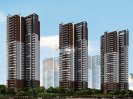 金沙洲 坡地生态休闲 低密度 地铁盘 目前生活配套不完善