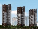 金沙洲 坡地生态休闲 低密度 地铁盘 目前生活配套不完善