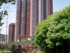 锦业路现房精装公寓 高科尚都项目详解(组图)