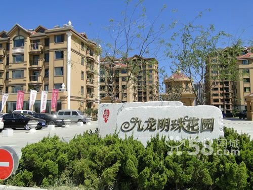 【多图】经区优质地段九龙明珠花园优质多层特