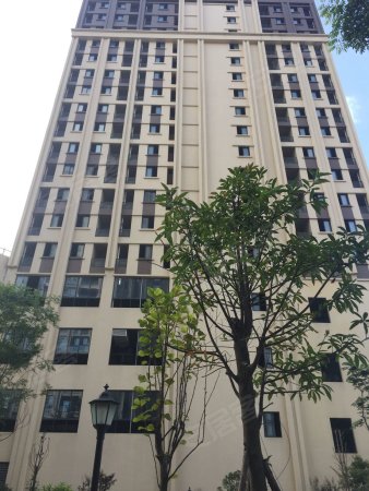 蜜立方 水电气三通公寓 性价比超高 首付只需十