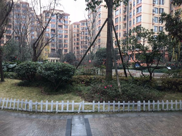 万达对面佳兆业威登郡 精装套二 房子地理位置