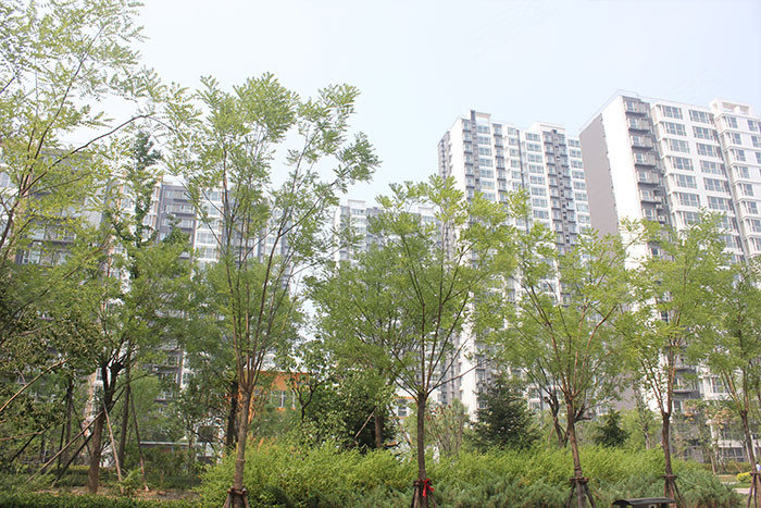 保定水榭花城-实景图(7) - 保定58安居客